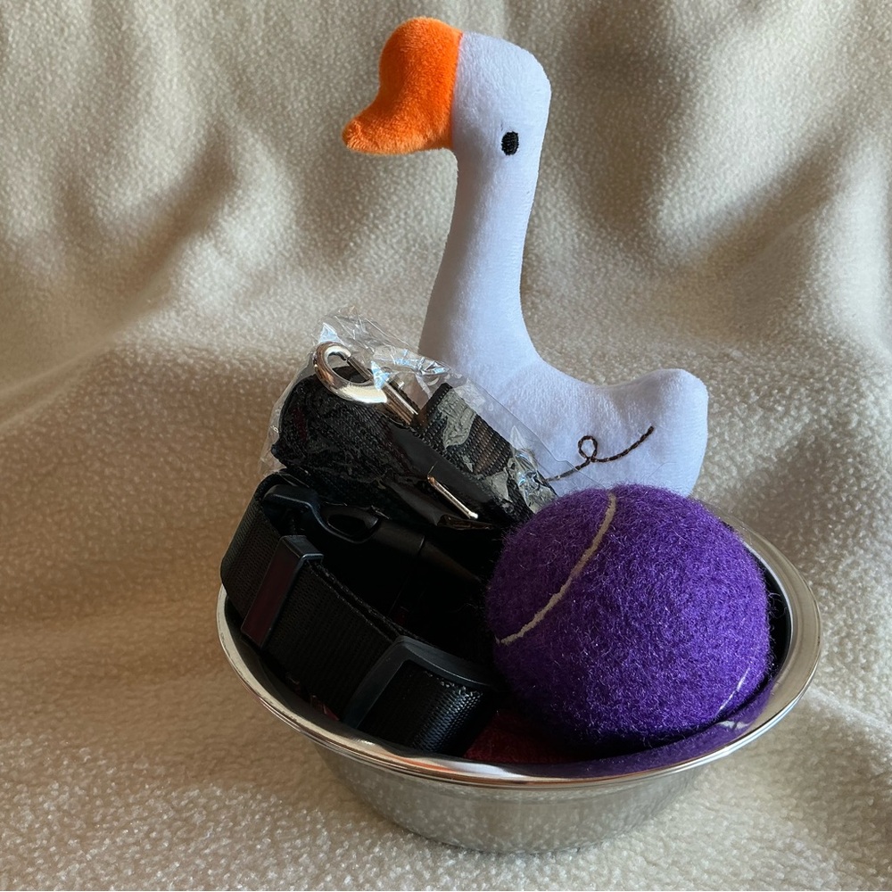 6 piece Pet Toy and Accessory